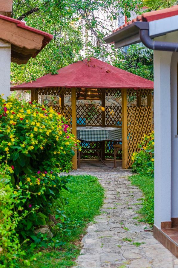 Apartments Marija & Pepa Ρόβινι Εξωτερικό φωτογραφία